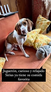 1K views · 47 reactions | Marcelo Castro on Reels | Facebook