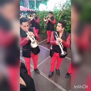 18 reactions | Cuerdas de mi guitarra(Paso doble) Y #PORQUESOMOSELEGANTES. Seguimos para todos ustedes.. | Banda Elegante de Méx | Facebook