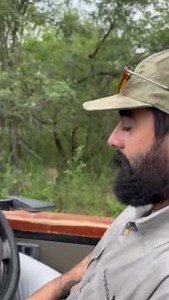 🍃Exquisite leopard sighting! 🍃 Professional Field Guide students were fortunate that this beauty allowed them to get so close. Everyone was captivated by its beauty and presence, and in complete silence, they watched in anticipation of its next move. Learn more about our Professional Field Guide course HERE: 👉https://ow.ly/T53450UKPMJ 📽️ Credit: Norman Chauke | EcoTraining