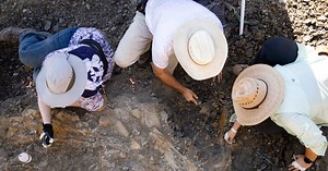 Fossils of 30-foot prehistoric marine lizard unearthed by Perot paleontologists