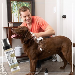 Scrub-a-dub-dub inside with no tub with Waterless Pet Shampoo: https://bit.ly/33rYHCu. | Wahl Pets | Facebook