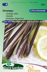 Lemongrass Citronella Sereh Seeds: Grow Delicious, Aromatic Lemongrass With a Fresh Citrus Scent and Spicy Flavor for Asian Dishes - Etsy Canada