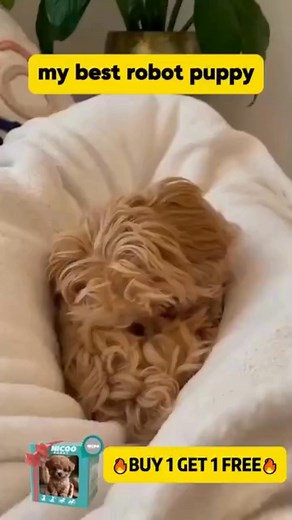 🐶 NICCO – Your Lifelike Robotic Puppy! 🐾 Not just a toy, but a forever friend. ✨ Walks, barks, and cuddles like a real pup — handcrafted with love and eco-friendly materials. 👉 Adopt NICCO today — the puppy that never grows old! | Baby Bottle