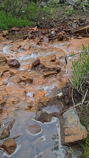 This is Deadwood Creek in Deadwood, SD! 🏞 #walkintosuccess #deadwoodsd #creeksofinstagram | Taylor Petty