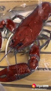 19K views · 491 reactions | Tam Kỳ Authentic on Reels | Facebook