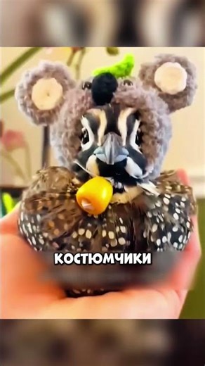 В кого ПРЕВРАТИЛСЯ этот птенец? 🤯