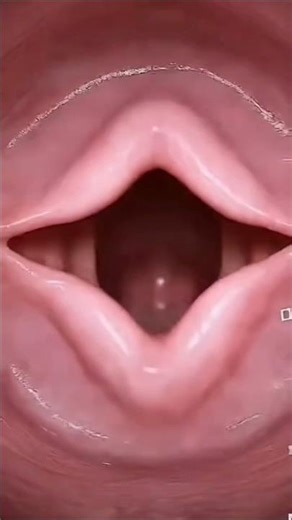 What Happens in the Female Body During Intercourse | Educational Reproductive Health