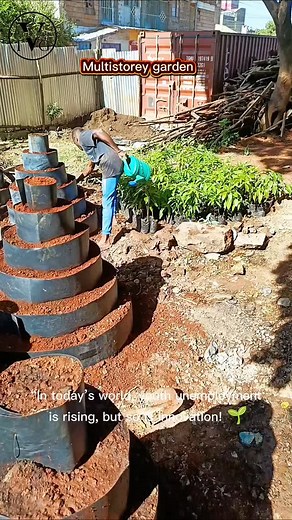 Multistorey garden KSH 1500 Call/WhatsApp 0706035470 #urbanfarming #gardening #sustainability #smartfarming #verticalgarden #diygarden | Vertical Tech Garden