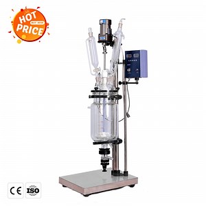 [Hot Item] Vacuum Laboratory Bioreactor Glass Jacketed Heating Stirred Chemical Reactor