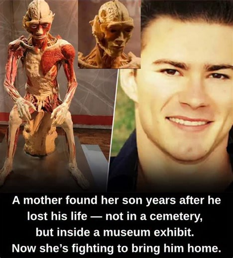 23-year-old Christopher Todd Erick lost his life in Arizona after a mental health crisis. His mother, Kim Smith, was listed as his emergency contact — but due to a paperwork error, he was recorded as “unclaimed.” That mistake changed everything. Kim was never notified. She never got to bury him. Years later, while watching news coverage about the “Real Bodies” anatomical exhibit in Las Vegas, she recognized a face that stopped her heart. It was Christopher. His body had been plastinated — preser