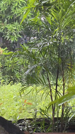 32K views · 153 reactions | Buhos na ulan #fyp | Lente ni Egay | Facebook