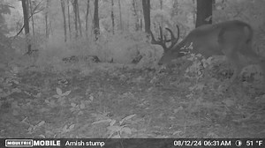 1.1K views · 15 reactions | Trophy Room Adventures on Reels | Facebook