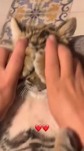 292K views · 10K reactions | #stitch with @bocmen2000 #relatable #laugh #comedy #abc #xyz #fyp #ok #tacos #pdbtaco #southern #food #foodies #relax | Xzer Publc World | Facebook