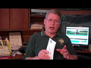 Honey Bound Honey Bees or Starving. Feb. Critical for Beekeepers