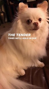 Visit us RAINBOWBRIDGE.COM | Rainbow Bridge