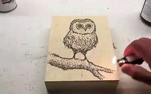 256K views · 1.4K reactions | Gunpowder Owl on Wood Canvas by Danny Shervin via Paint With Gunpowder | Design + Magazine | Facebook