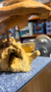 2.3K views · 45 reactions | I true original. Hand-carved mahogany, made to be admired. 麗 #MuseumStore #calvertmarinemuseum #Hammerhead #visitSolomonsMd | Calvert Marine Museum | Facebook