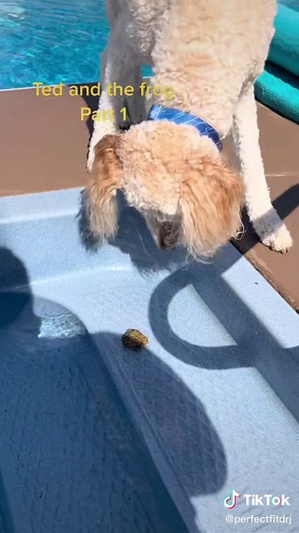 fxmedicineclinic on TikTok