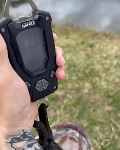 47 reactions | SU x DRT Juvenile Golden Shiner. 8.37 lbs | (lance_oday) #heroorzero #swimbaitunderground | Swimbait Underground | Facebook