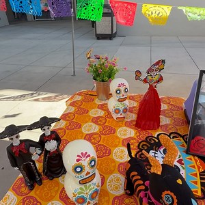 Ohlone College on Reels