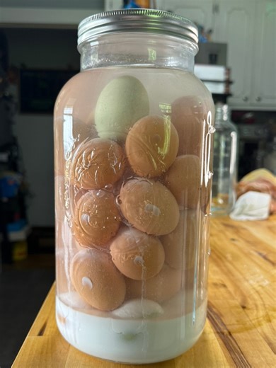 🥚🥚🥚How to water glass your eggs! 🥚🥚🥚�ingredients �-1 ounce pickling lime�-1 quart filtered water�-Clean unwashed eggs, Eggs that have no poop or mud, and the “bloom” still fully intact Instructions * Measure out 1 ounce of pickling lime on your kitchen scale. * Add the pickling lime to a clean half gallon jar and fill it up halfway (one quart) with filtered water. * Whisk the lime into the water until it was fully incorporated. * Carefully add the eggs pointy side down. * Add an airtight l