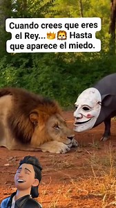 257K views · 1.8K reactions | Hasta que aparece el miedo. El momento exacto donde el Rey León entiende que no todo se controla… mira bien la reacción  ¿Tú qué habrías hecho?  Compártelo con alguien que cree que lo tiene todo bajo control. #ReyVsMiedo #SustoInesperado #MomentoSalvaje | Ricardo Ferro Ferro Oficial | Facebook