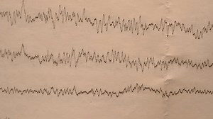 Seismograph Record Earthquake On Old Paper Stock Footage Video (100% Royalty-free) 3570845091 | Shutterstock