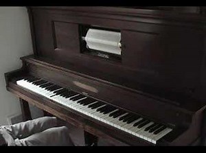 The Flight of the Bumblebee (Player Piano)