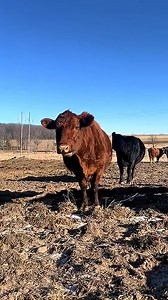 August 18, 2025 | Katie Walters