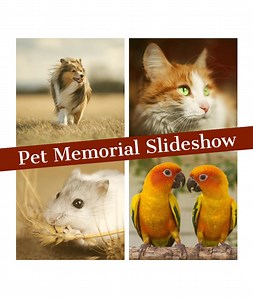 Pet Memorial Slideshow: Custom Photo & Video Montage, Keepsake, Memories - Etsy Canada