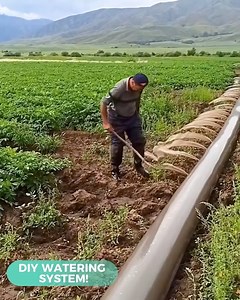 42K views · 96 reactions | How to make a homemade watering system for the plants! | DIY Panda | Facebook