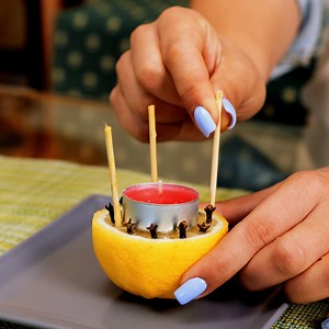 Prévenir les insectes dans votre maison grâce à ces astuces efficaces 🦟 | Brico Famille