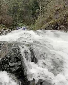 20 reactions | Immersion Research on Reels | Facebook