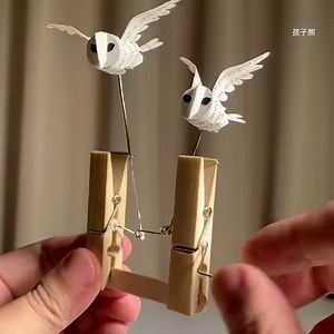 Fly high! 🦉 | 9GAG