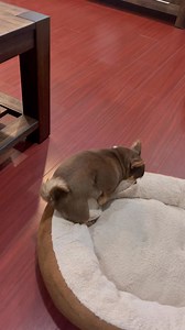 Mission complete | Splack