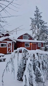 Sending warm holiday greetings to those celebrating. ✨⁠ Take a moment to reflect on a magical winter experience at Little Qualicum Cheeseworks last season.⁠ ⁠ 📍 Parksville Qualicum Beach 📹️ Little Qualicum Cheeseworks ⁠ Tourism Vancouver Island is located on the traditional, ancestral, and unceded territories of the Kwakwaka’wakw, Nuu-chah-nulth, and Coast Salish peoples. | Tourism Vancouver Island