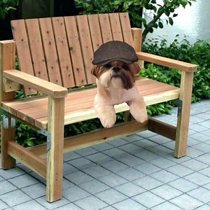 19K views · 2.8K reactions | Phoebe , the Cultbuster. | Phoebe Unleashed | Facebook