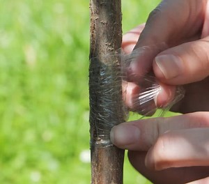 8.5K views · 23 reactions | Smart Hacks for Pest Control | 5-Minute Crafts USA | Facebook