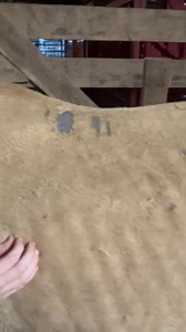 This part 2 of 4. of her trip to a better life. We currently have room for a few more so we will be going to auction to save one. Help us make a difference Goal $550 Still need $425 needed Update $375 needed Update $300 needed Thank you Ms Nancy Thank you Ms Karen https://mygivingcircle.org/christian-farms/free https://www.paypal.com/donate/? hosted_button_id=F6W3534S6JJBAVenmo @rescue-chick | Payton Christian