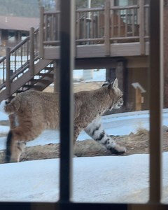 5K views · 2.4K reactions | YMCA of the Rockies on Reels | Facebook