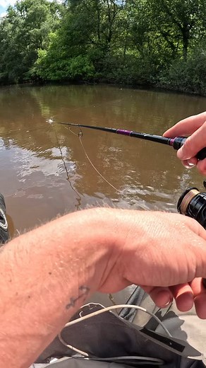 ZÉBRÉ 🦓 ~ ~ ~ Rod: latigo 10-32gr @majorcraft_france Lure: easy shiner 4,5 @keitechusa @keitech_france Braid: varivas | Sacha Guerin