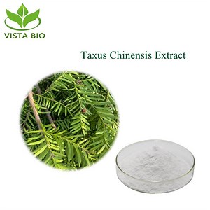 [Hot Item] 100% Natural Taxus Chinensis Extract Taxus Baccata Extract High Purity Paclitaxel for Anti Cancer