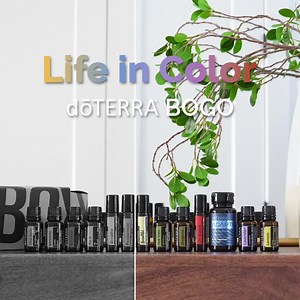 22 reactions · 11 shares | Save $152.00 wholesale and over $200.00 retail with the BOGO Box | doTERRA Essential Oils Canada | Facebook