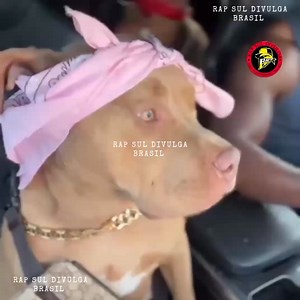 🚨Changes🚨 (feat. Talent) 🎶2Pac🎶 | Rap Sul Divulga