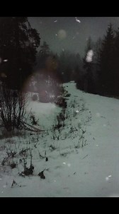 #cardoftheday Today’s card is the Eight of Arrows from The Wildwood Tarot. Here we see a lone figure, looking lost and shaken. Cold wind whips and howls around her, biting her face and hands. She clutches her cloak close in an attempt to stay warm. Her other hand has a staff and a lantern. Around her lie broken and wasted arrows….. She is in the darkness. A time when facing failure and disappointment. It’s difficult and painful, deep. This is also very personal. You may have support, but this is