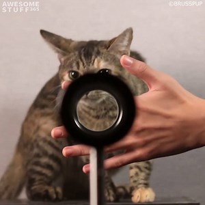 This looks like magic 😲💎💡 | Awesome Stuff 365