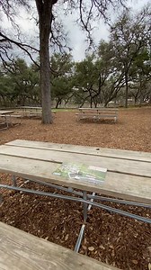 We're bigger than you think! But no worries, we have a MAP! 🧐 🗺️ 📍 🧭 | Natural Bridge Caverns