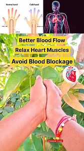 360K views · 4.4K reactions | Do This Finger Exercises To Avoid Heart Attack ✅️ Improve circulation and metabolism Relaxes heart muscles Removes blood blockage in the body 5 minutes daily can do in 2-5 steps Sourav Yoga #fingerexercises #hearthealth #heartattack #circulation #metabolism #metabolichealth #mudras #healing #healingjourney #stressrelief #anxietyrelief #fbreels #fbreelsvideo #fblifestyle #virals | Sourav Yoga | Facebook