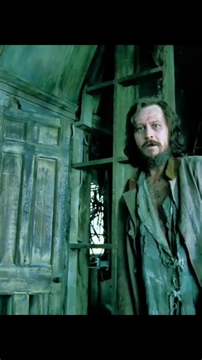 Harry Potter and the Prisoner of Azkaban - Snape, Sirius Black, and more