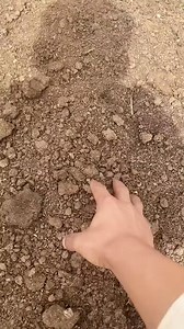 1.3K views | El cultivo de lombrices, también conocido como...